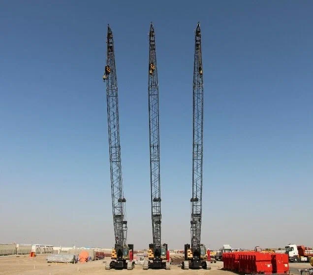 xxl height